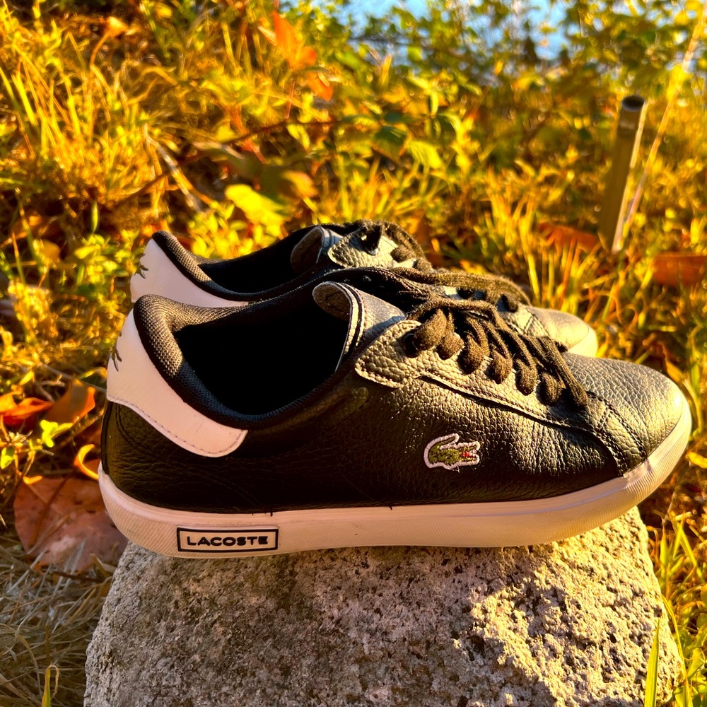 Lacoste shoes